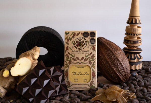 Barra de chocolate con jengibre 80% cacao  (70g)