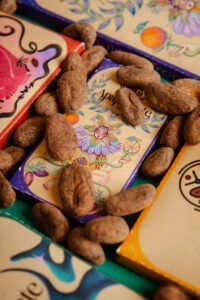 65% cacao Alquimia Tropical (maracuyá con mandarina 15g)